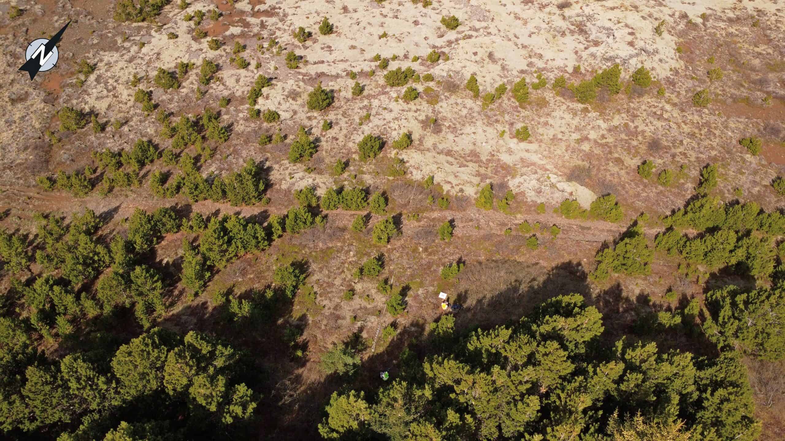 Arni-Grein-2-4_stafafura-skogarjadar-dronamynd-undirhlidar